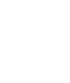 Número 07