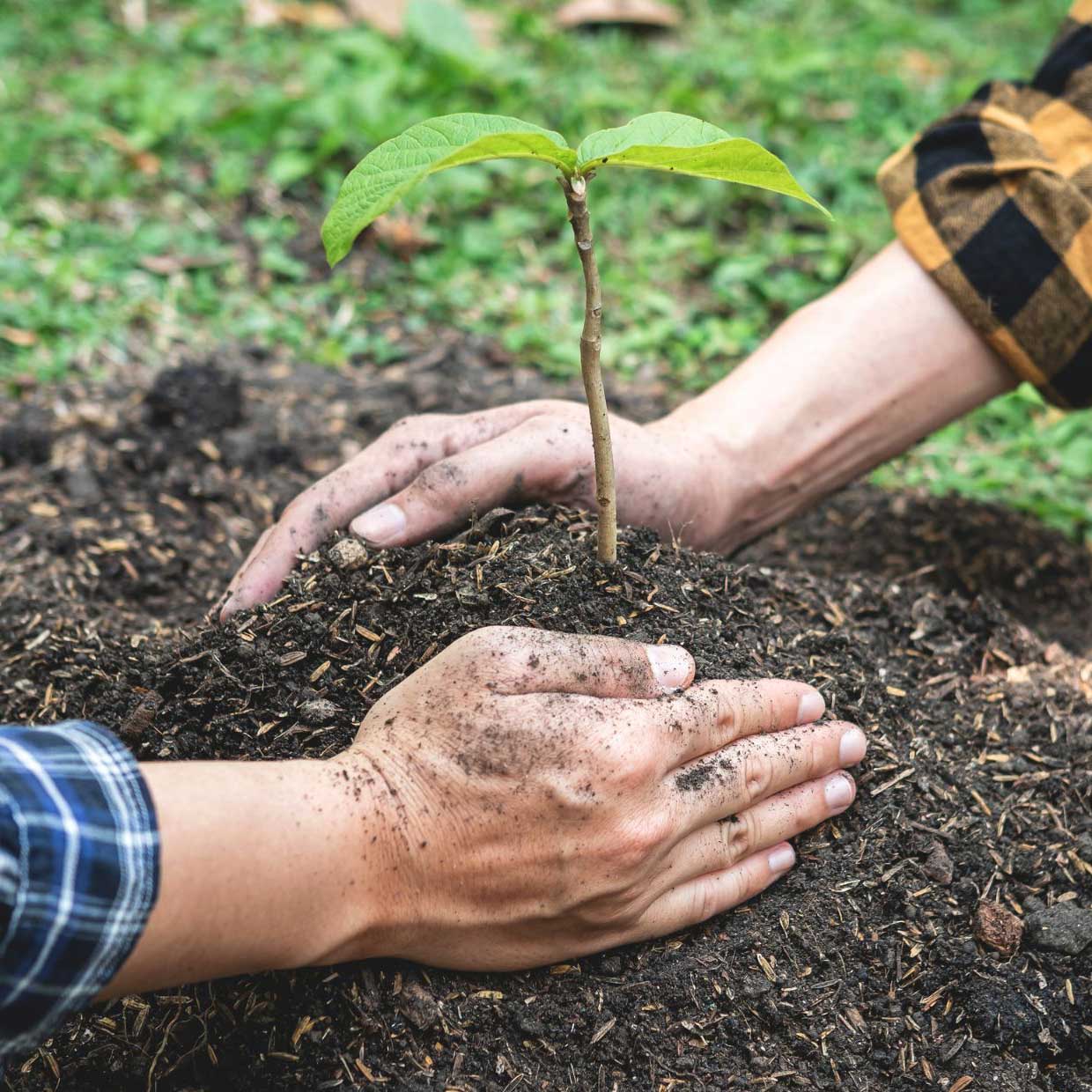 Operador Agroambiental en la Región de Murcia